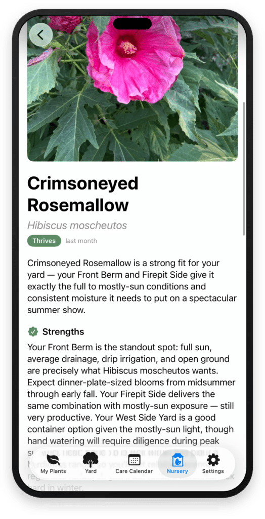 The Nursery view assessing a plant's fit for your yard